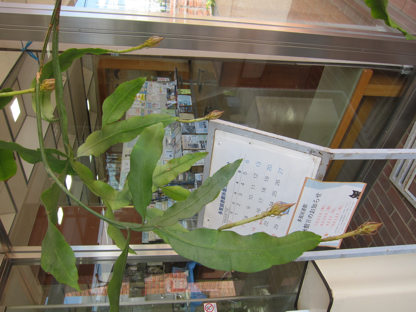 7月30日(2)