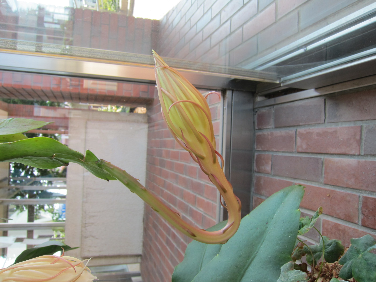 8月5日(2)