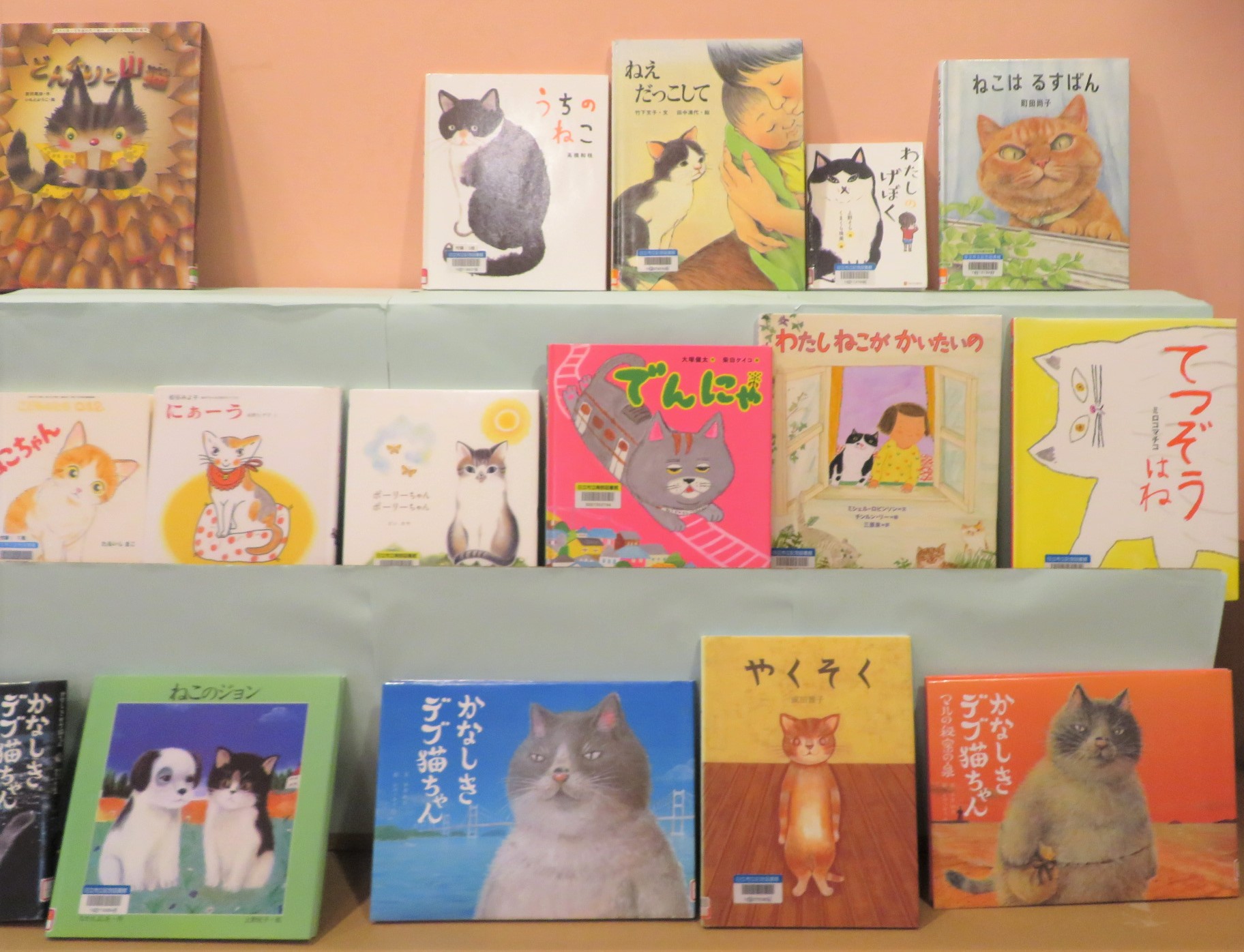 オトナが癒されるネコのおはなし会（写真）