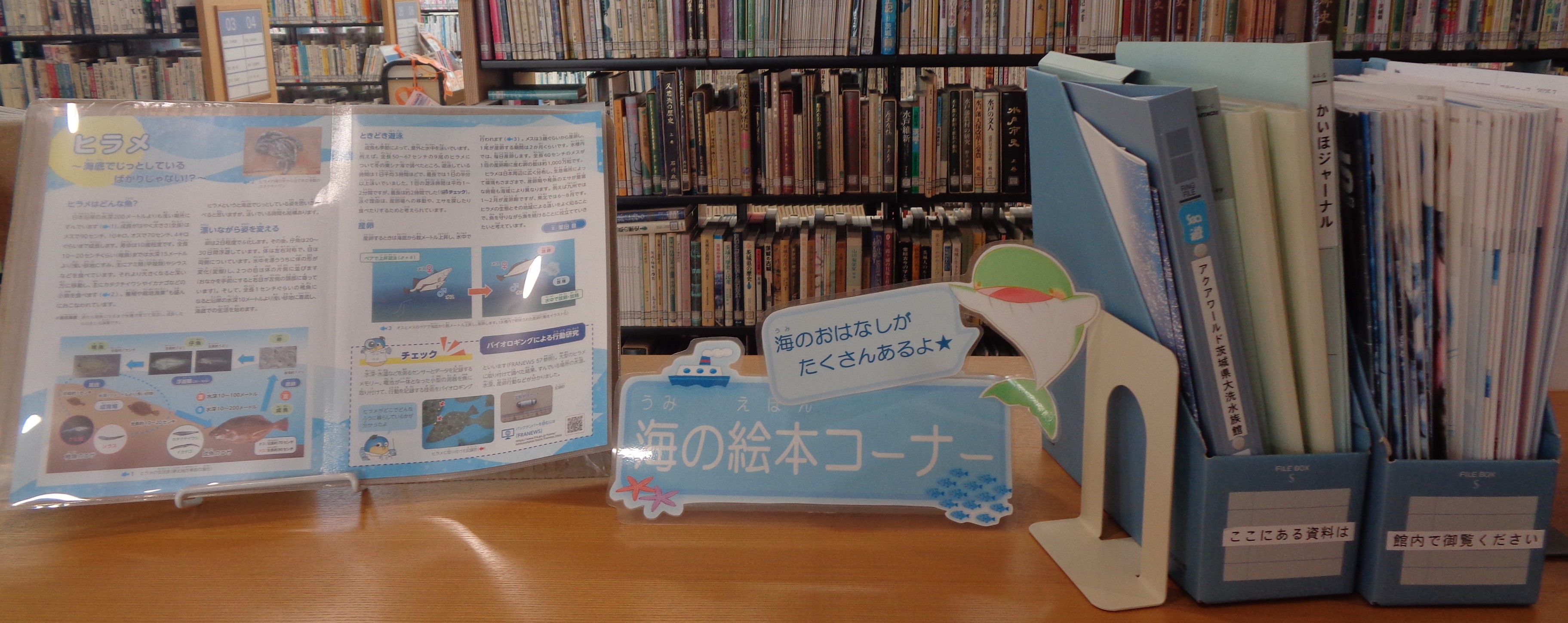 海の絵本コーナー